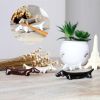 8Pcs Ceramics Dachshund Chopstick Holder Creative Animal Chopstick Spoon Fork Knife Rest